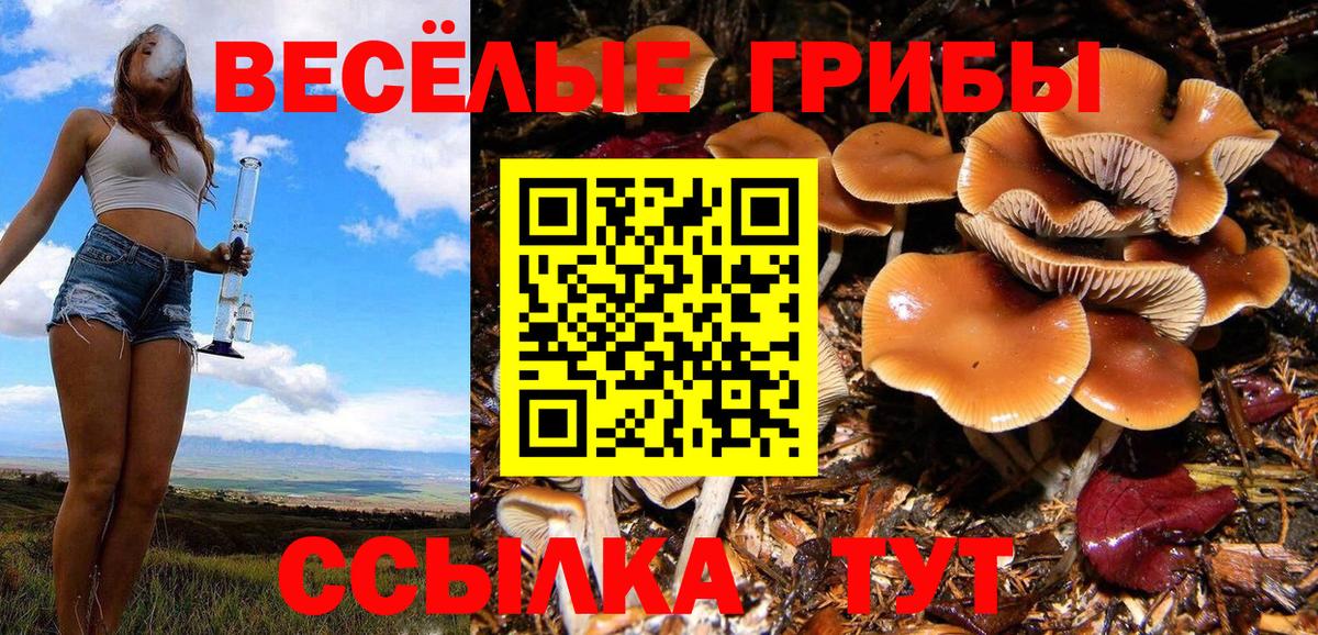 Псилоцибиновые грибы ЛСД  Галлюциногенные грибы Psilocybe  Вход с VPN  Новодвинск 