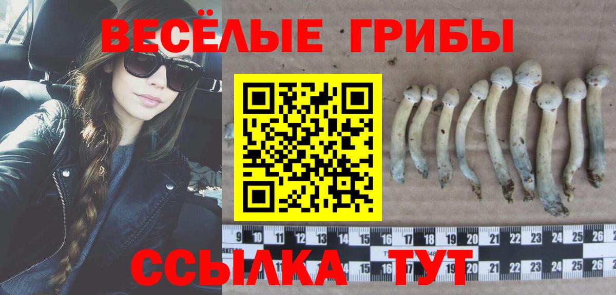 Галлюциногенные грибы Cubensis Новодвинск